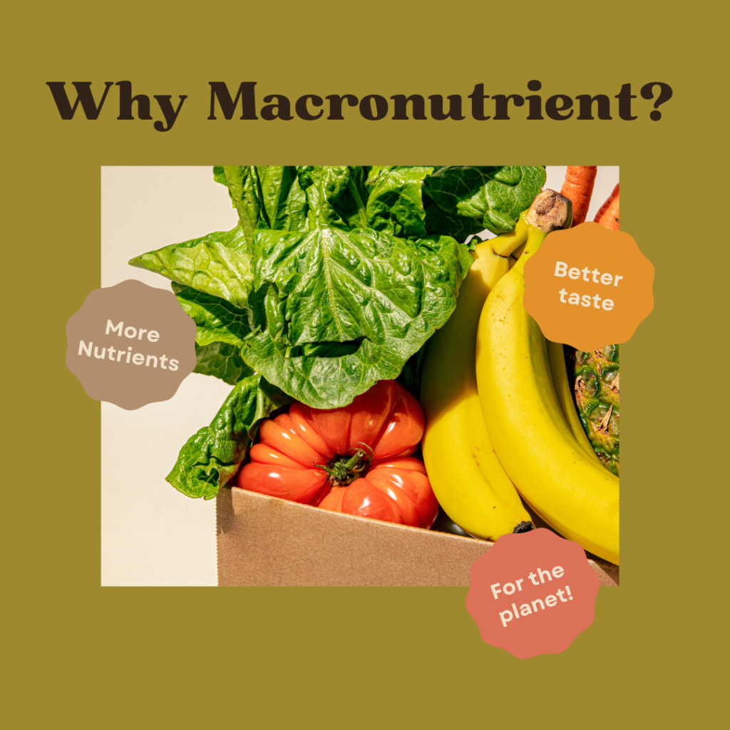 Understanding Macronutrients: What They Are and How They Affect Your Fitness Goals